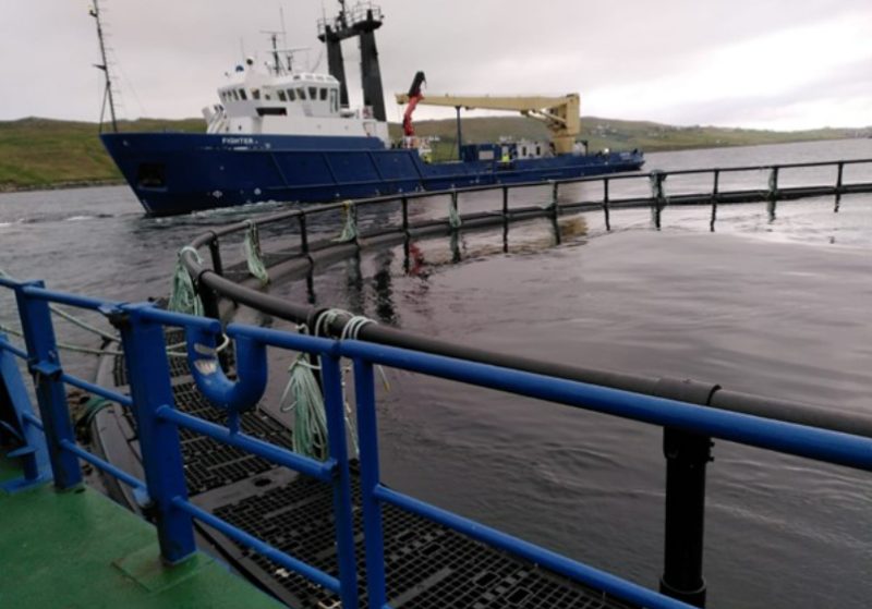 A boat floating past a fishery