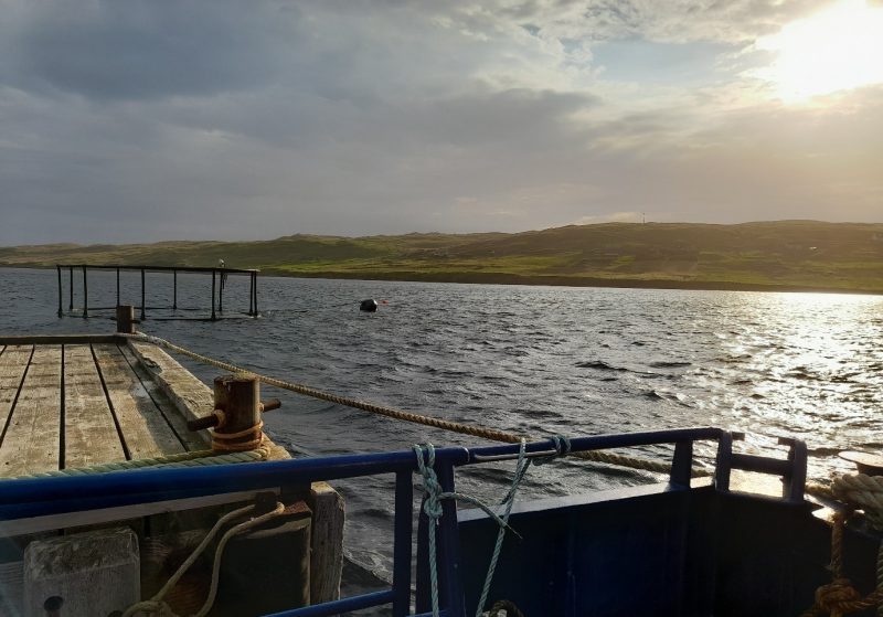 The view from a boat over a water body at sunrise. A buoy and fisheries equipment are in the water.