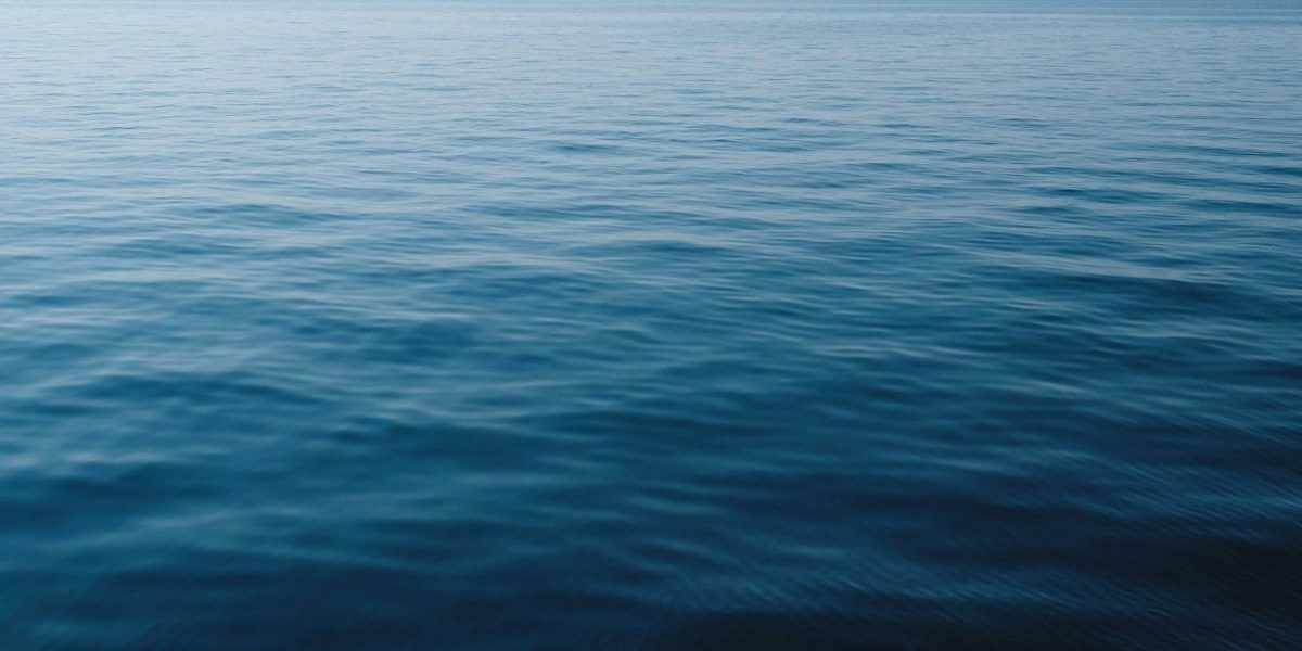 thomas vimare IZ01rjX0XQA unsplash e1709199651534 aspect ratio 1200 600