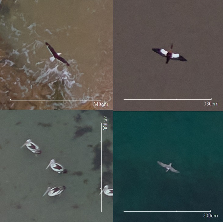 APEM Group OSW image 1