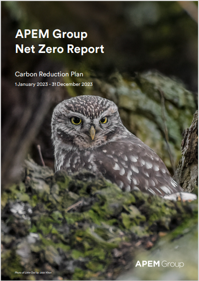 Thumbnail APEM Group Net Zero Report cover