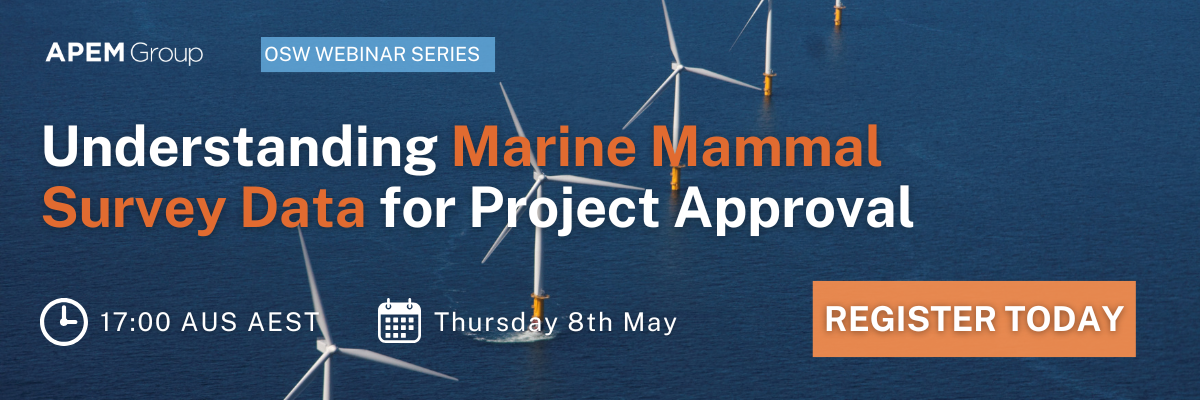 Click to sign up for our Australia marine mammals webinar