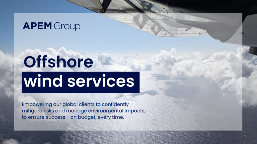 Offshore Wind Lifecycle Services ebook