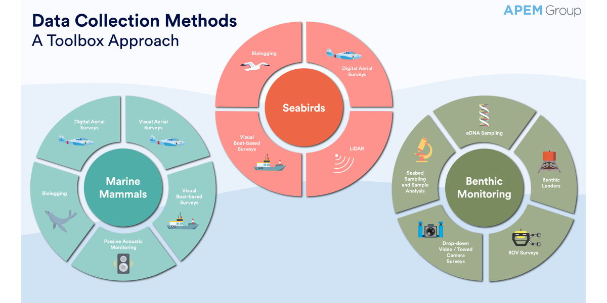 APEM Data Collection Methods Infographic PNG scaled aspect ratio 1200 600