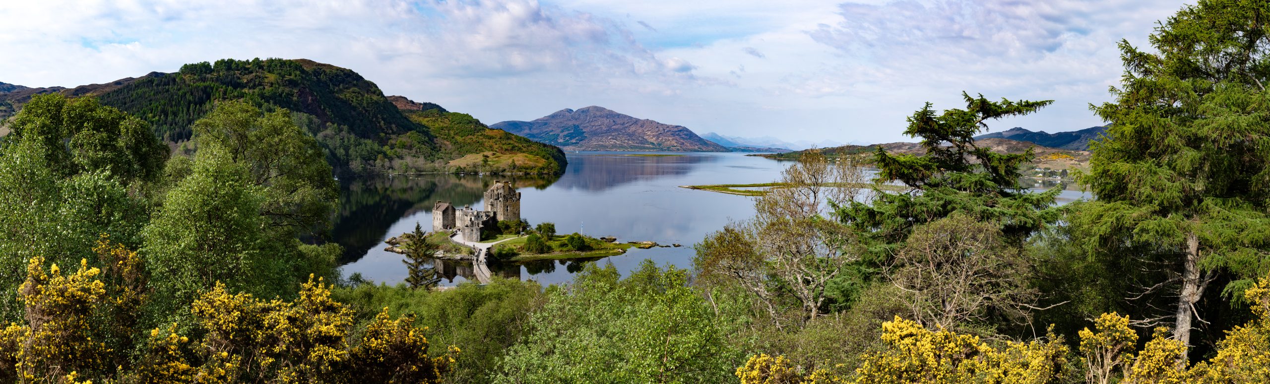 Eilean Donan, Kyle of Lochalsh, looking towards Skye Mark Salisbury Panoramic view of Eilean Donan Castle on a small island at the meeting point of three sea lochs, surrounded by lush green trees and yellow gorse, overlooking calm waters towards the Isle of Skye in the Scottish Highlands.